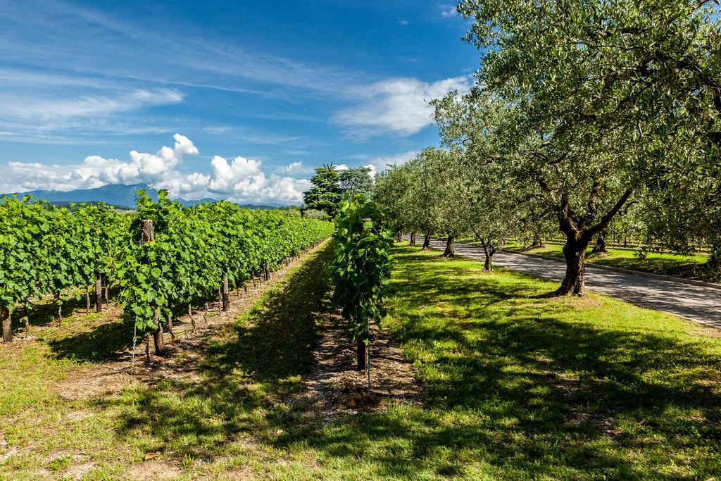 Quercia Belvedere Relais Bardolino Kültér fotó
