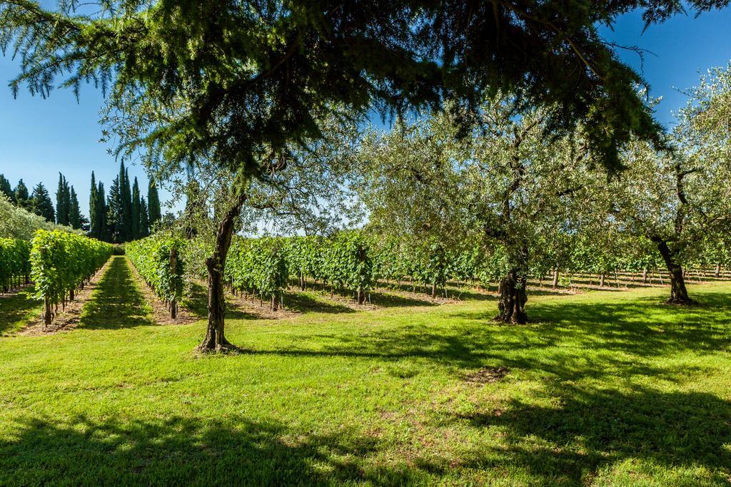 Quercia Belvedere Relais Bardolino Kültér fotó