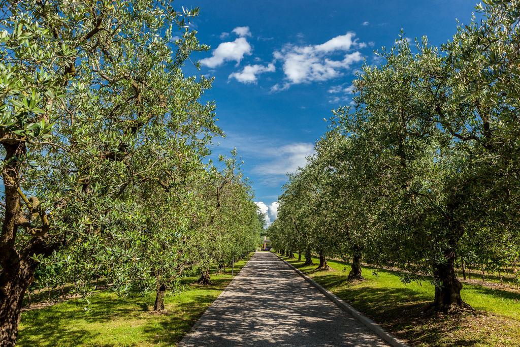 Quercia Belvedere Relais Bardolino Kültér fotó